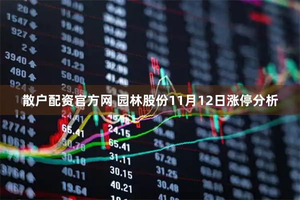 散户配资官方网 园林股份11月12日涨停分析